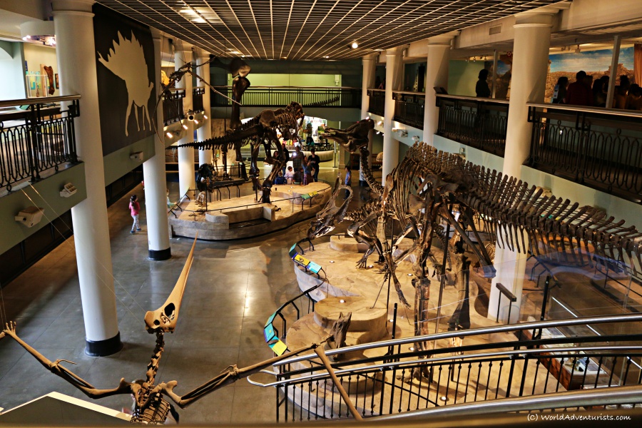 Natural Sciences Museum in Philadelphia 