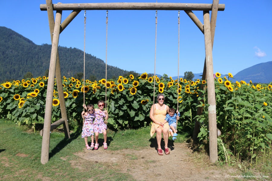 Mom and kids on the swings at the sunflower field