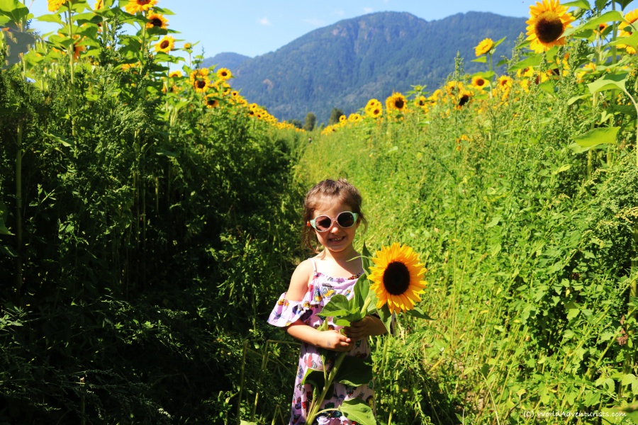 Little girl holding a sunflower