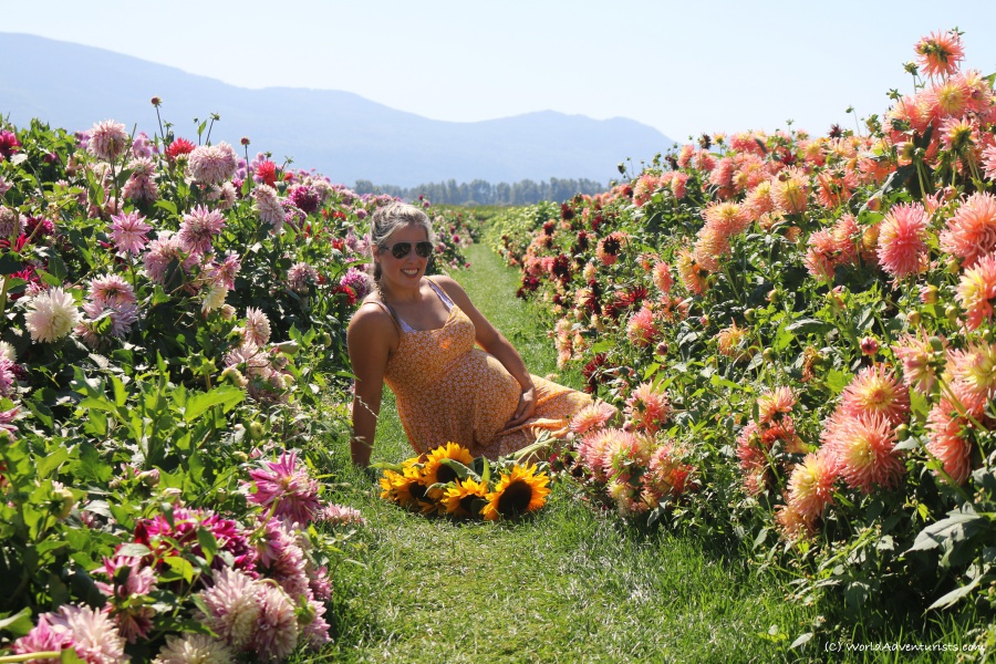 Pregnant lady in a flower field