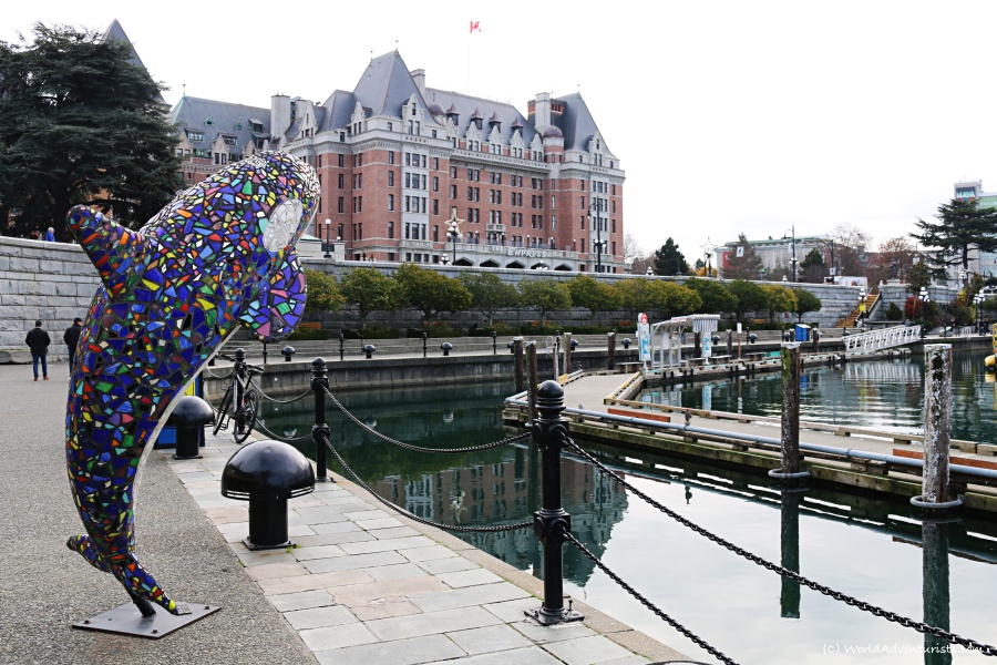 Mosaic Whale and The Empress in Victoria 