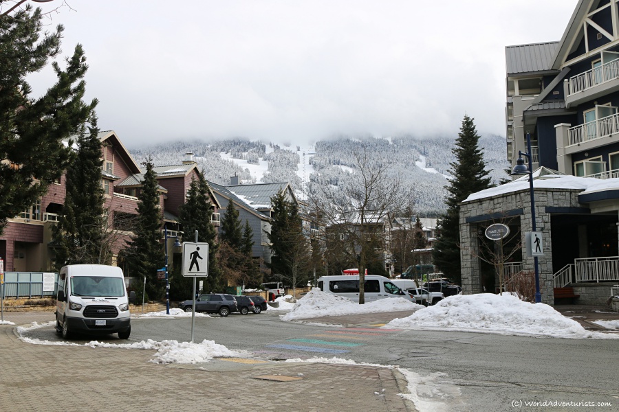 Wandering Whistler in the snow