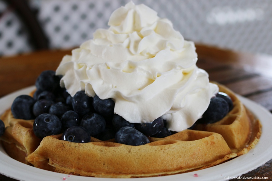 Delicious blueberry waffle after Picking Fresh BC Blueberries