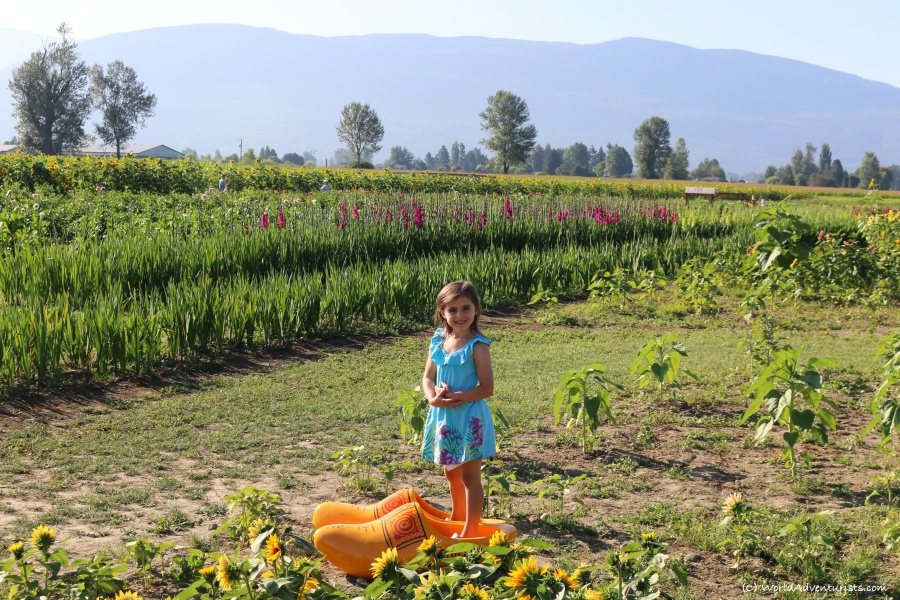 Girl in clogs at the Sunflower Festival in Chilliwack, BC 