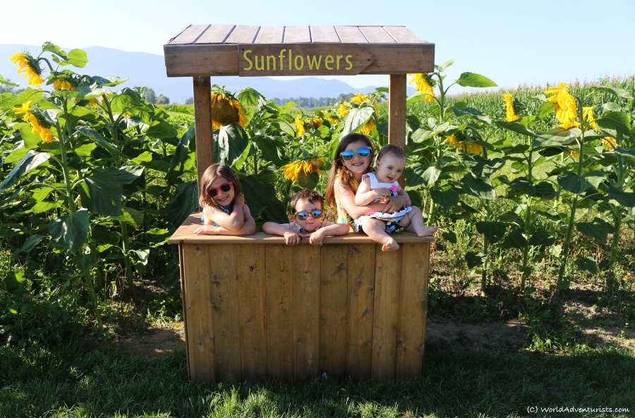 Happy kids posing at the Sunflower Festival in Chilliwack, BC 
