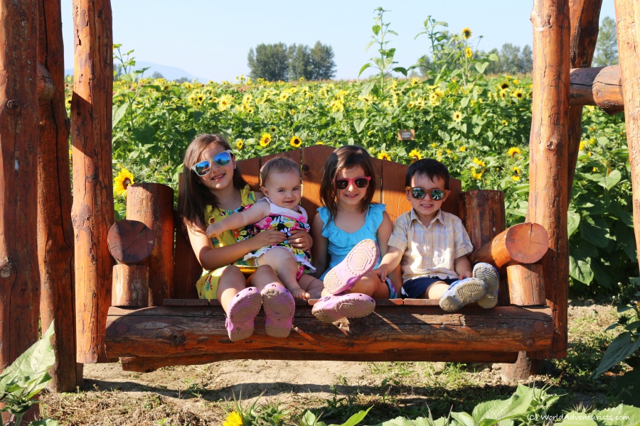 Kids posing at the Sunflower Festival in Chilliwack, BC 