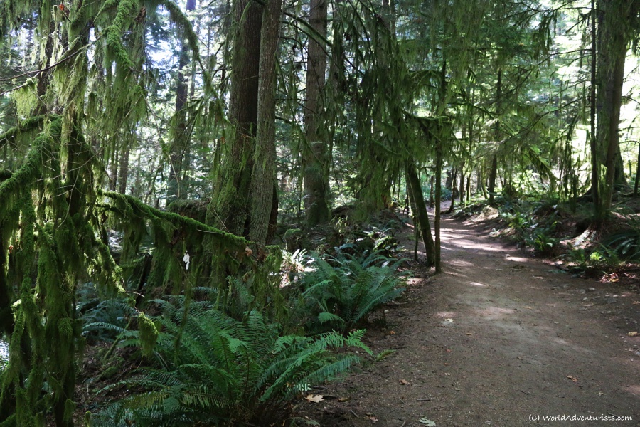 Hiking trail to Jug Island In Belcarra Regional Park