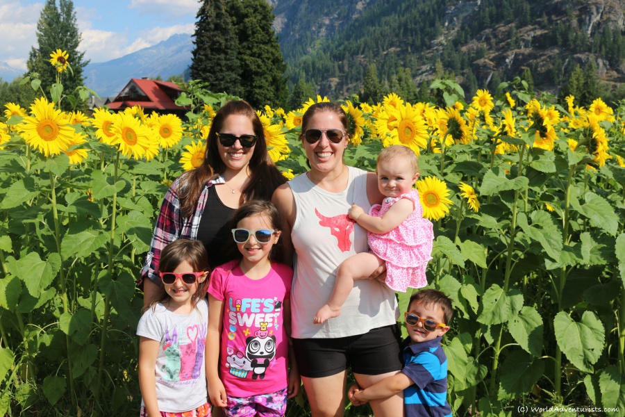 Family in front of Sunflowers and mountains at the Pemberton sunflower maze 