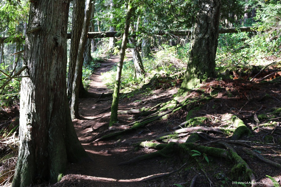 Mount Galiano Trail 