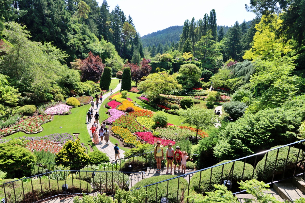 Victoria City Butchart Gardens Christmas Tour by Ferry from